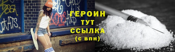 гидра Вязьма