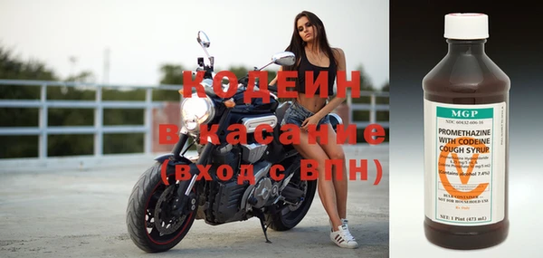 гидра Вязьма