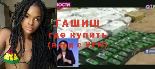гидра Вязьма