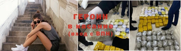 гидра Вязьма