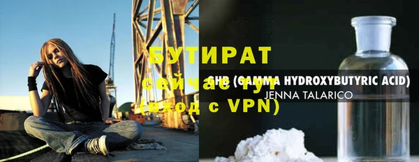 гидра Вязьма