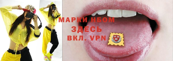 гидра Вязьма