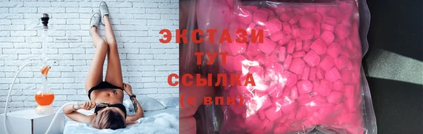 гидра Вязьма