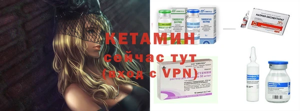 гидра Вязьма