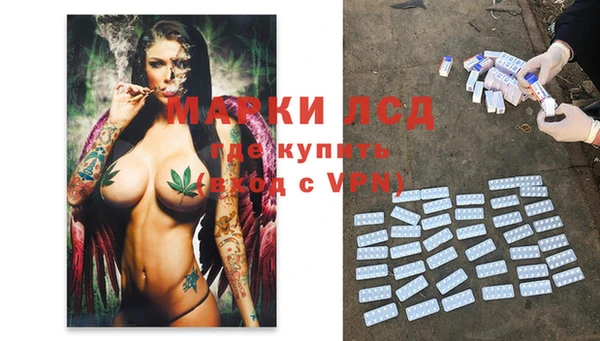 сатива Вяземский