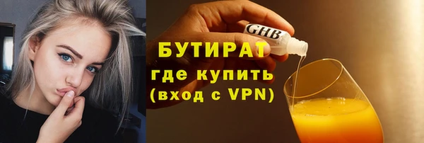 гидра Вязьма