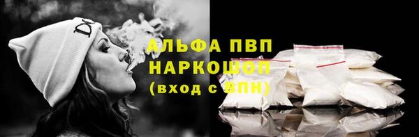 сатива Вяземский