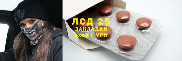 сатива Вяземский