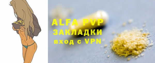 гидра Вязьма