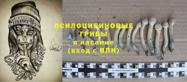 сатива Вяземский
