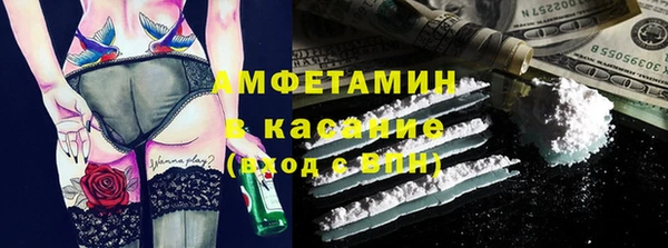 сатива Вяземский