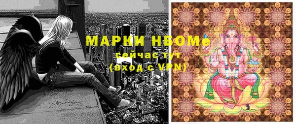 гидра Вязьма