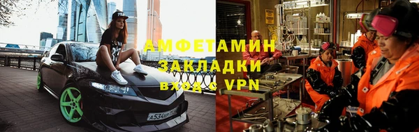 сатива Вяземский
