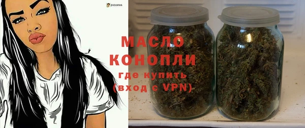 гидра Вязьма