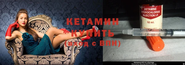 сатива Вяземский