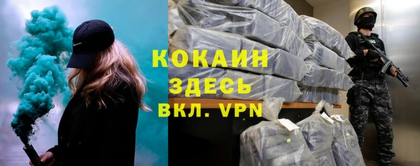 сатива Вяземский