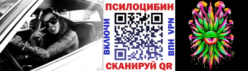 купить наркотик  Новомосковск  Галлюциногенные грибы мухоморы 